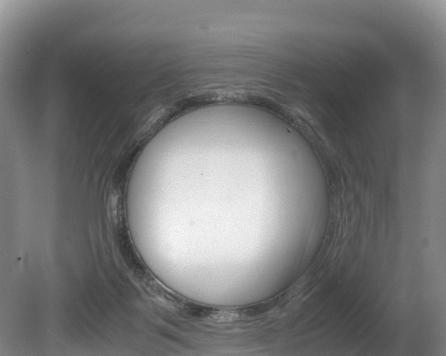 X0000078880123200611131104