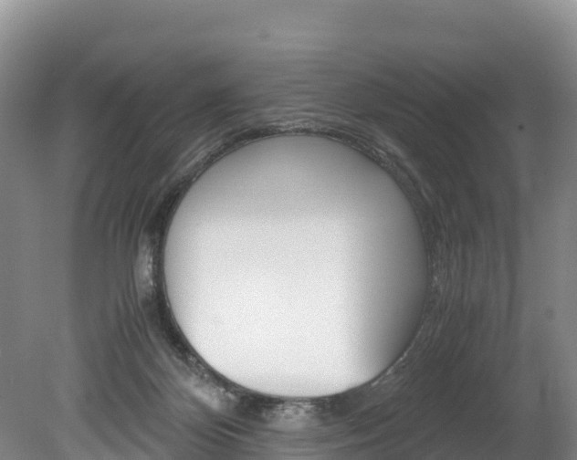 X0000078880124200611131104