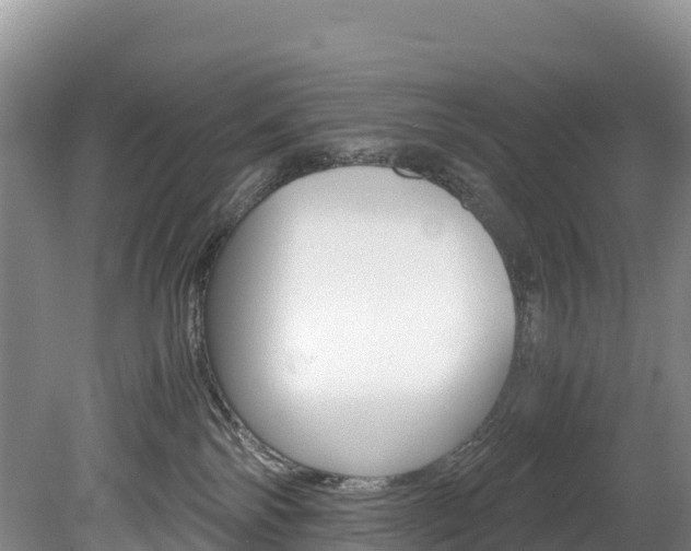 X0000078880138200611131103