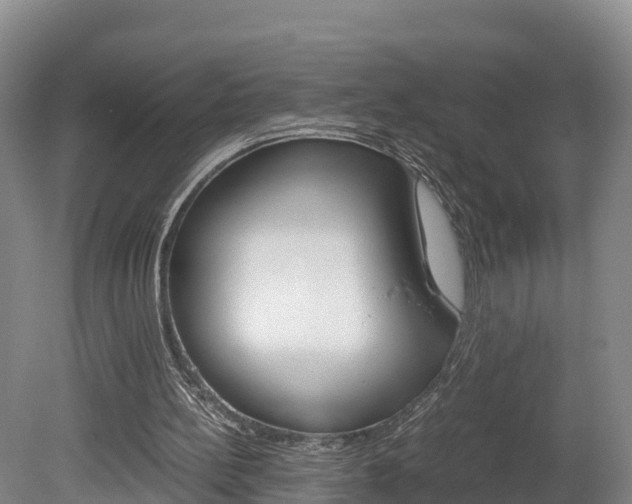 X0000078880148200611131103
