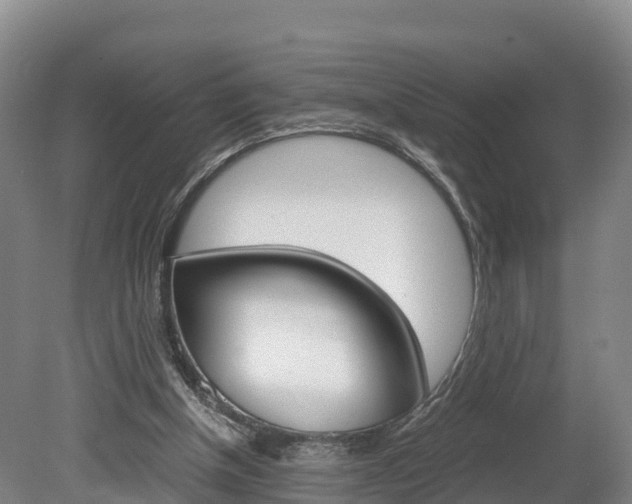 X0000078880154200611131103