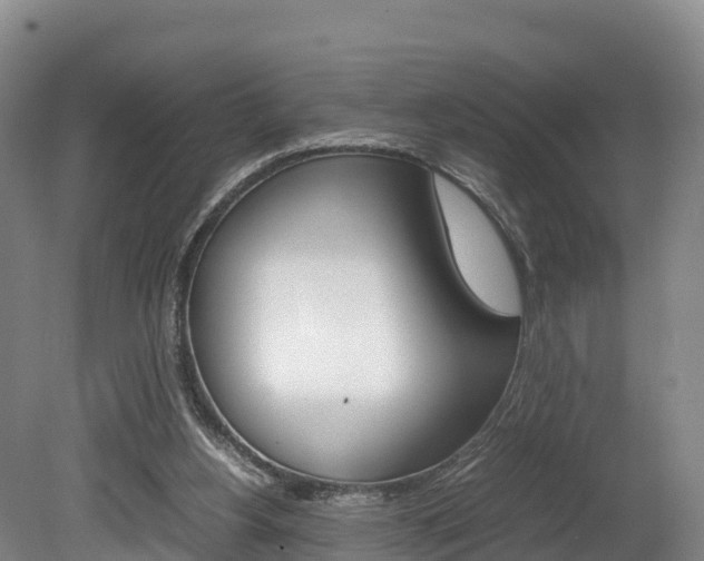 X0000078880156200611131103