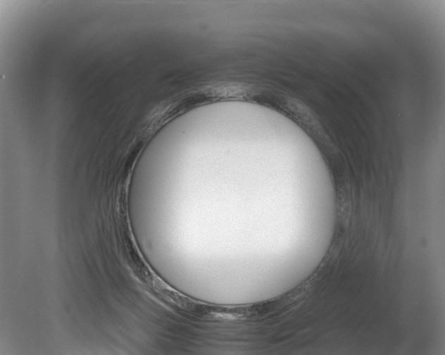 X0000078880167200611131103