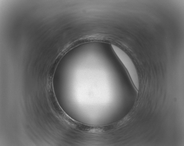 X0000078880168200611131103