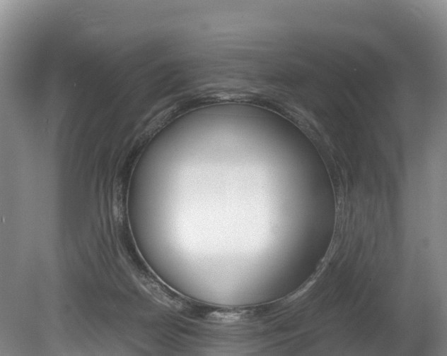 X0000078880170200611131103