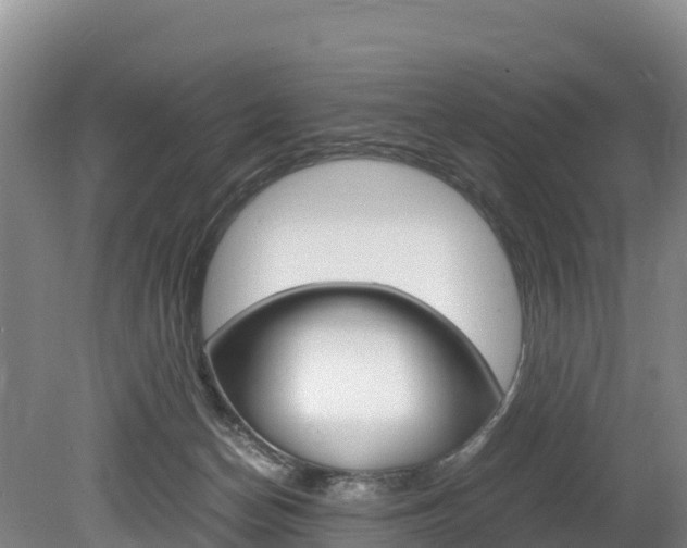 X0000078880174200611131103