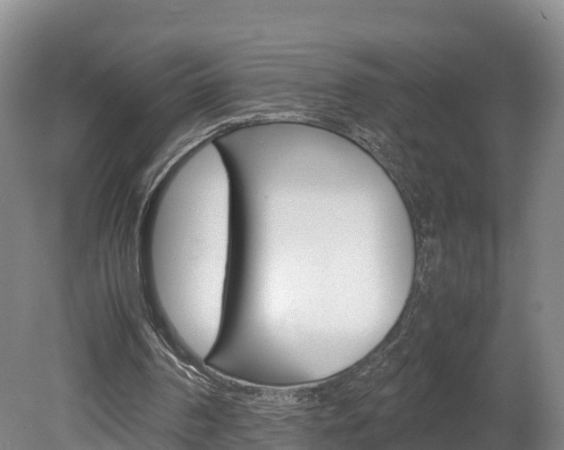 X0000078880194200611131102