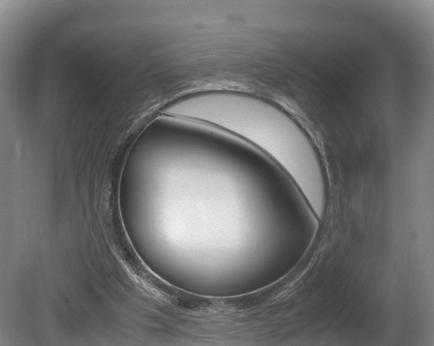 X0000078880201200611131102