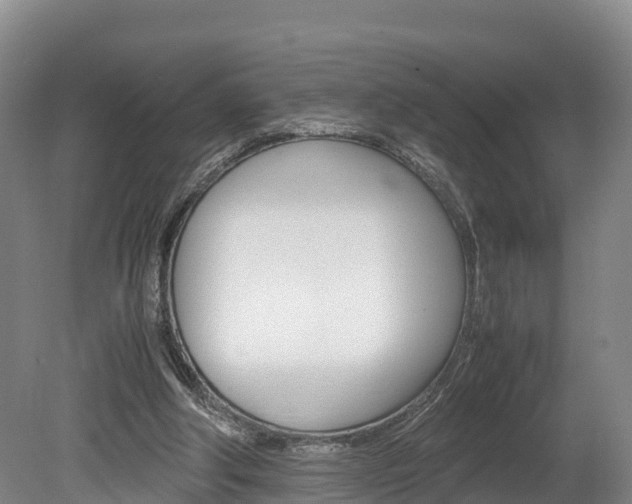 X0000078880202200611131102