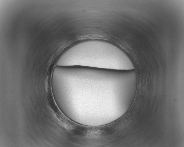 X0000078880206200611131102