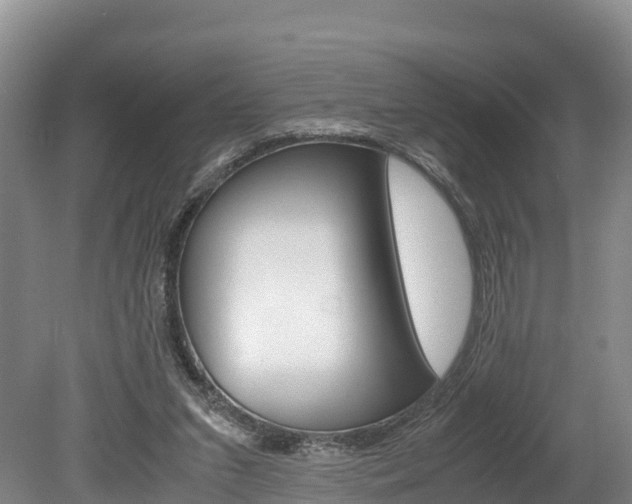 X0000078880207200611131102