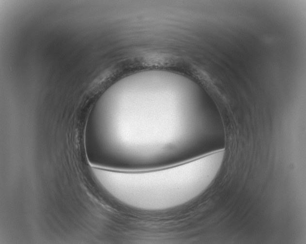 X0000078880211200611131102