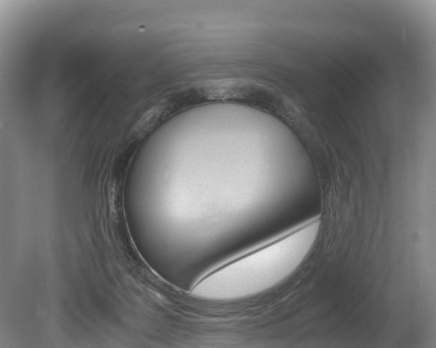 X0000078880219200611131102