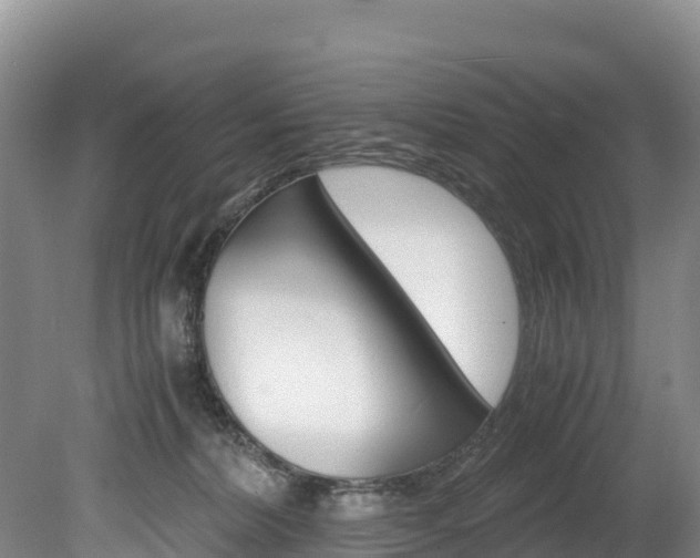 X0000078880228200611131102