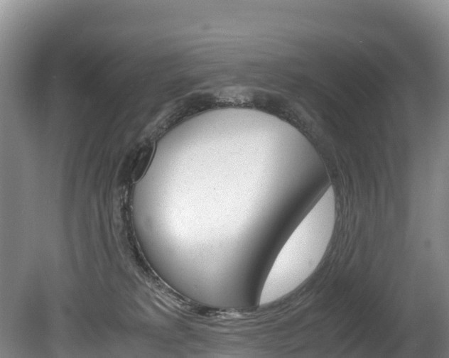X0000078880229200611131102
