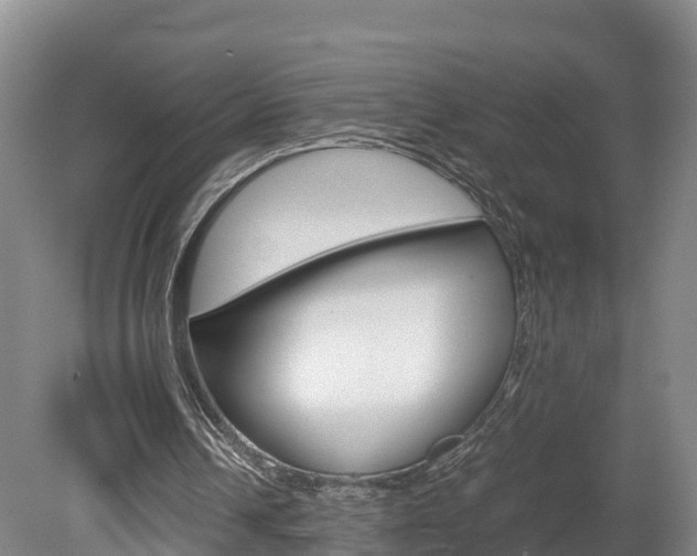 X0000078880242200611131101