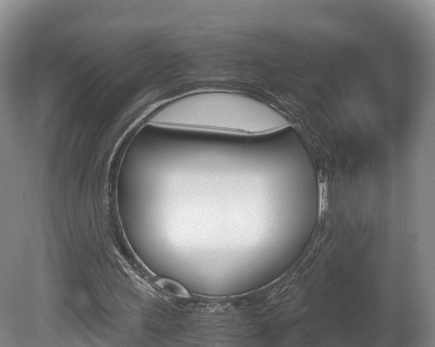 X0000078880243200611131101