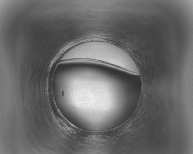 X0000078880244200611131101