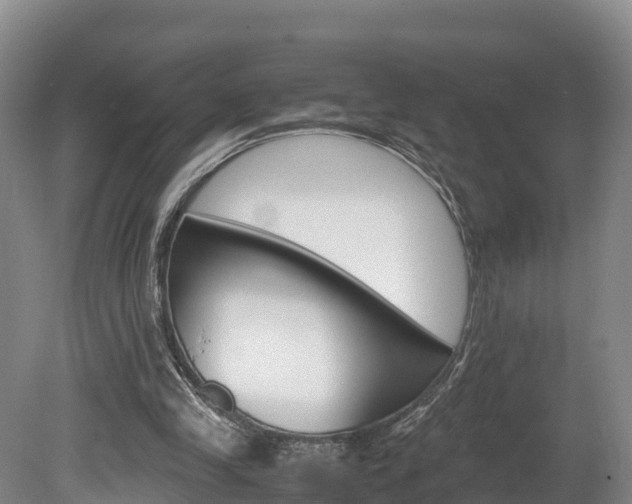 X0000078880245200611131101