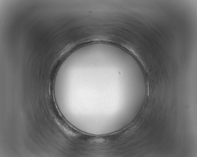 X0000078880253200611131101