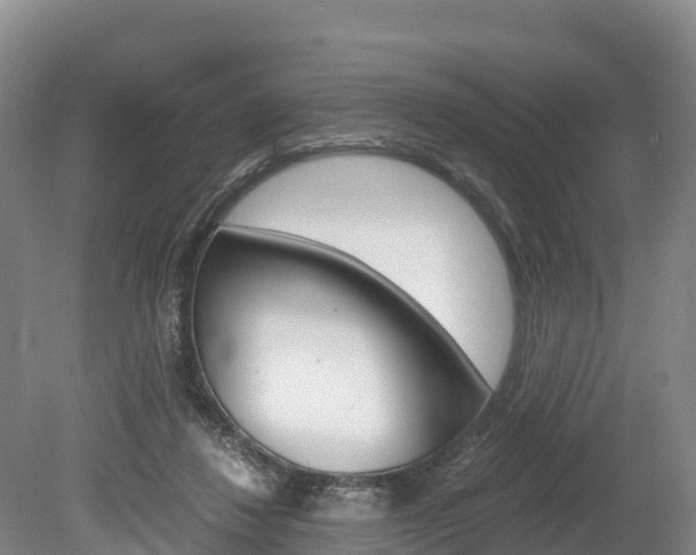 X0000078880260200611131101