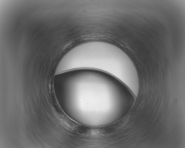 X0000078880264200611131101