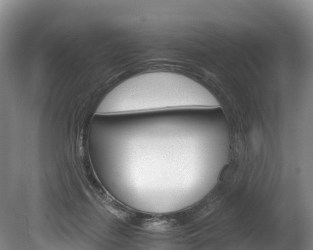 X0000078880267200611131101