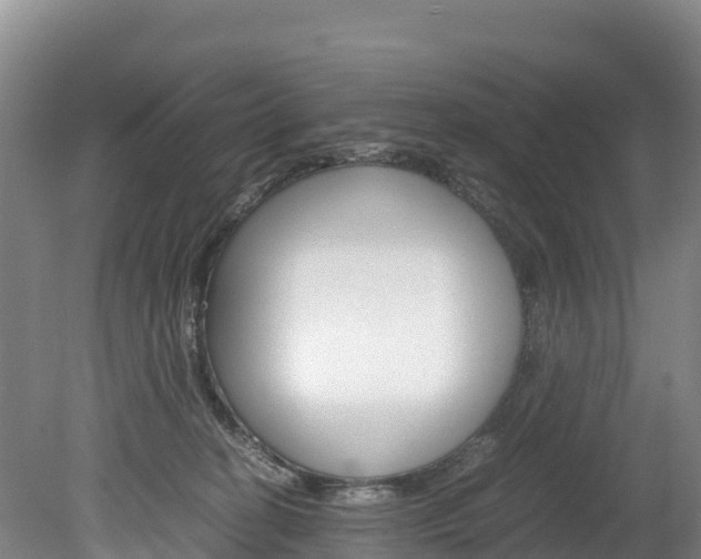 X0000078880274200611131101