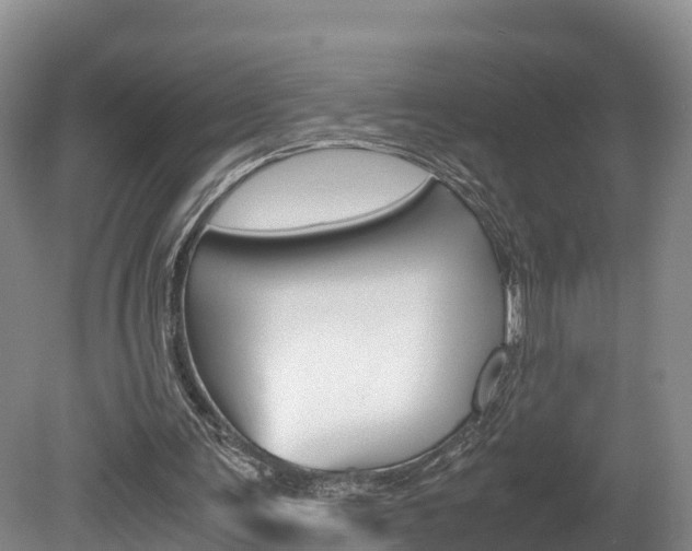 X0000078880291200611131101