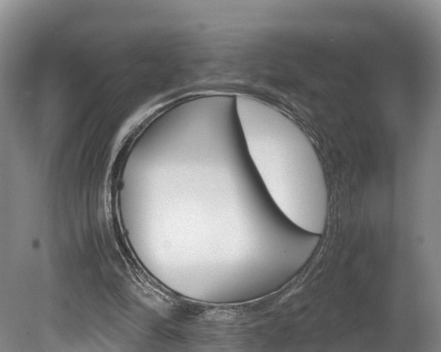 X0000078880294200611131101