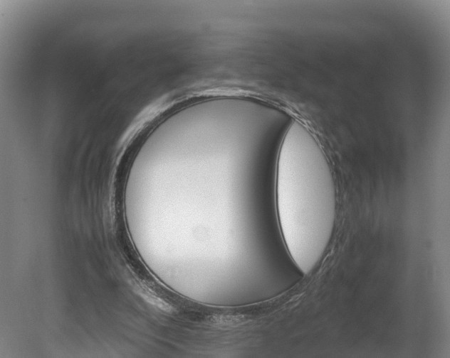 X0000078880296200611131101