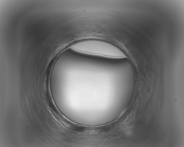 X0000078880299200611131101