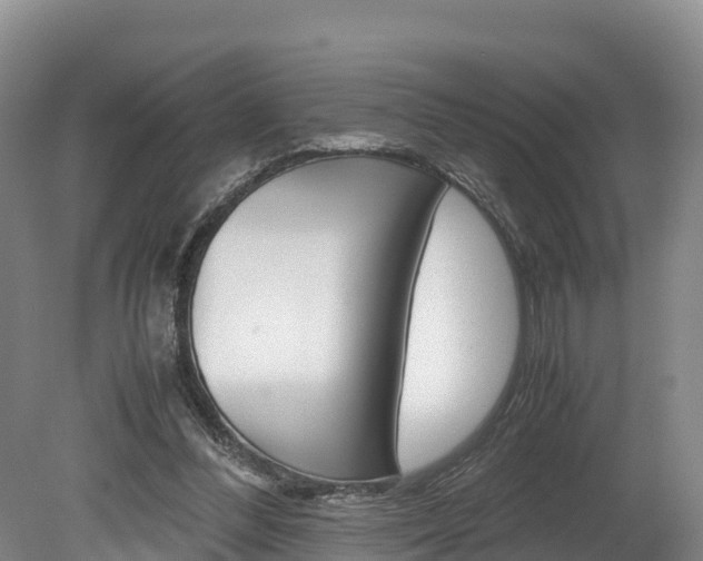 X0000078880300200611131101