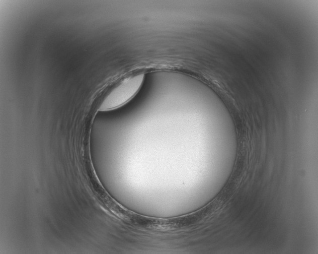 X0000078880303200611131101