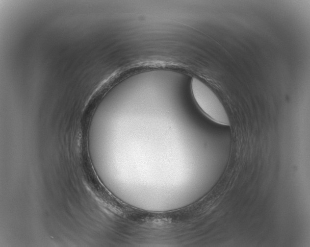 X0000078880304200611131101