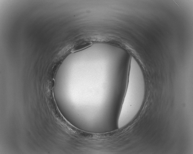 X0000078880305200611131101