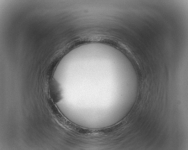 X0000078880307200611131101
