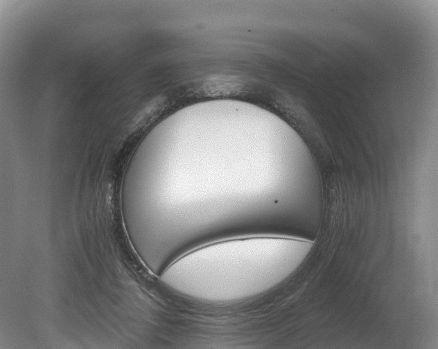 X0000078880308200611131101
