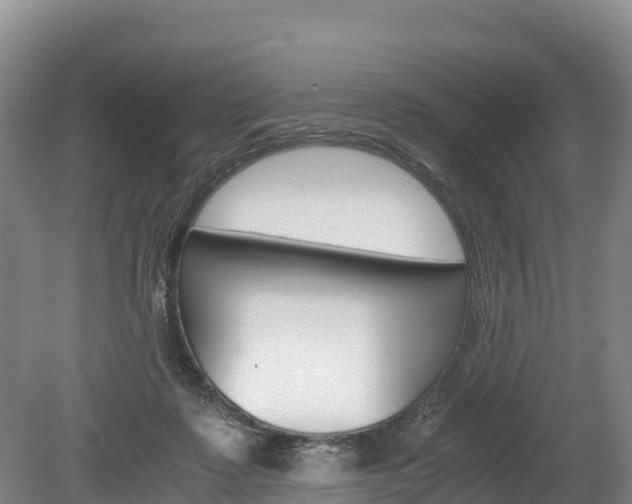 X0000078880315200611131100