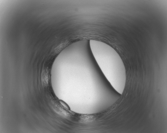 X0000078880334200611131100