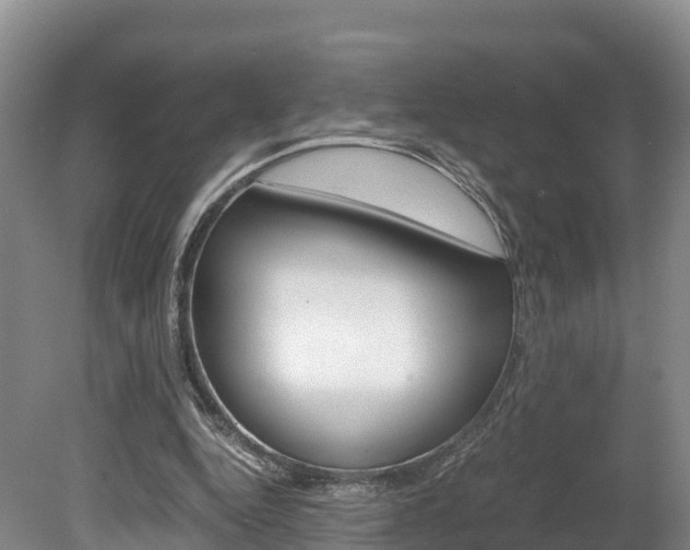 X0000078880344200611131059