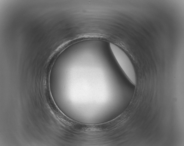 X0000078880348200611131059