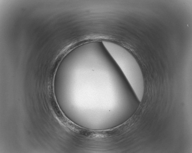 X0000078880352200611131100