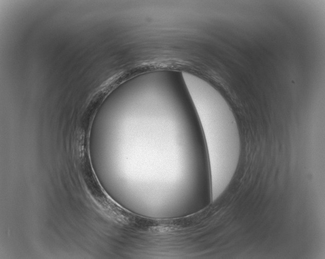 X0000078880356200611131100