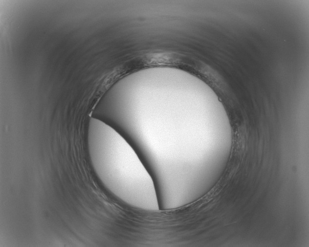 X0000078880361200611131100
