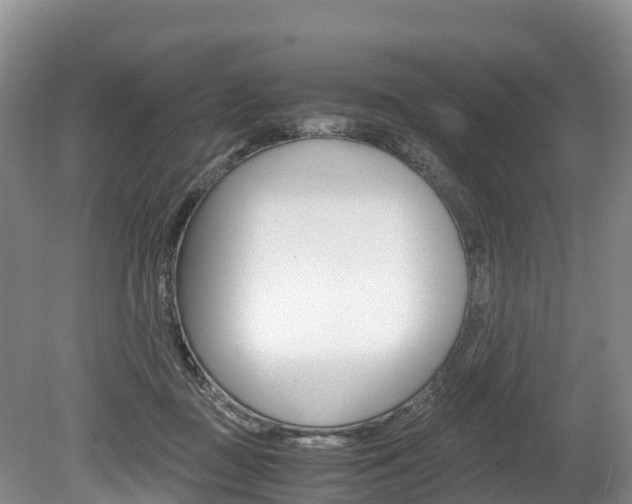 X0000078880363200611131100