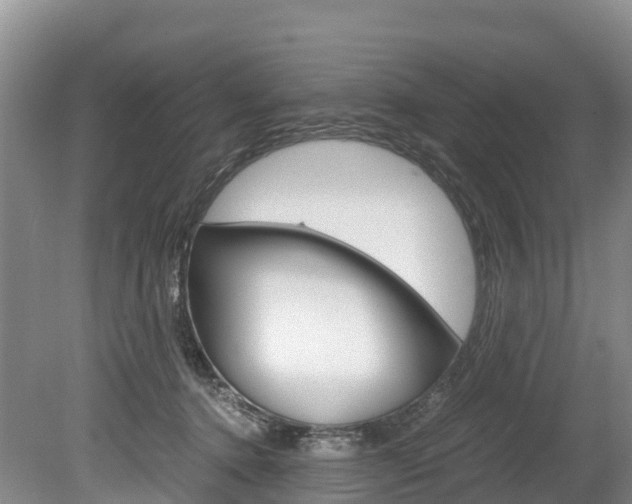 X0000078880368200611131100