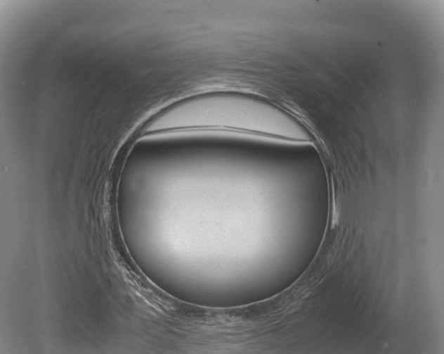 X0000078880387200611131059