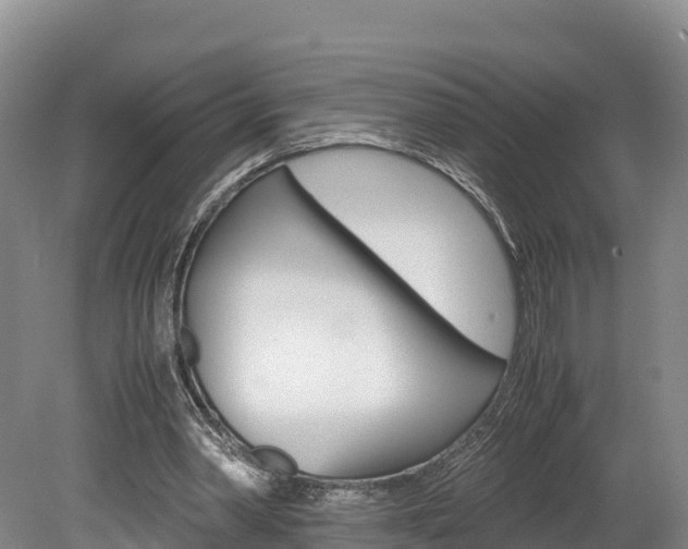 X0000078880390200611131059