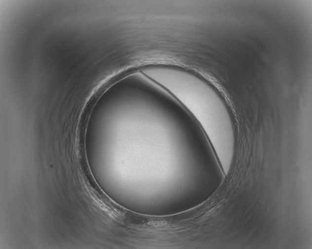 X0000078880391200611131059